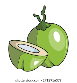 The Illustration of Coconut Fruit
