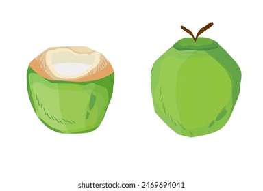 
illustration of coconut fruit, a fresh drink in summer. coconut theme summer banner