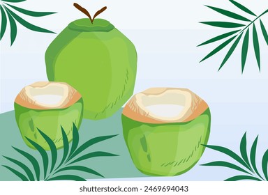 
illustration of coconut fruit, a fresh drink in summer. coconut theme summer banner