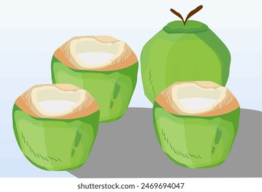
illustration of coconut fruit, a fresh drink in summer. coconut theme summer banner