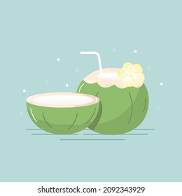 illustration coconut. Isolated background, vector
