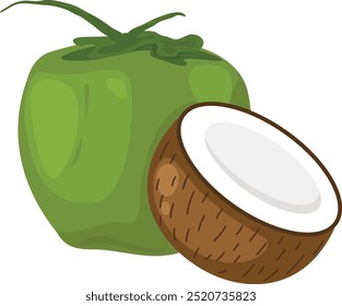 illustration of coconut on a white background