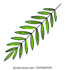 Illustration of coconut palm leaf. Decorative image of tropical foliage and plant.