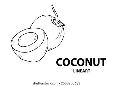 An illustration of a coconut shows its brown shell cracked open, revealing white flesh and water inside.