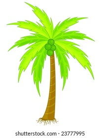 Ilustración de coco con fruta