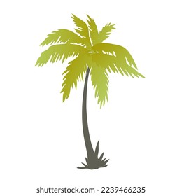 ILLUSTRATION OF COCONUT TREES TO BEAUTIFY CHILDREN'S PAGES