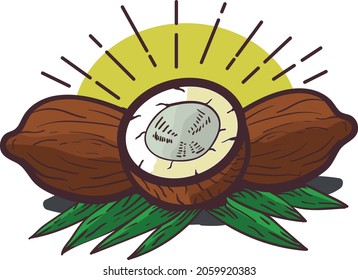 illustration of coconut vector. Suitable for coloring book and fruits.