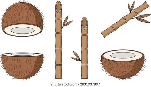 Illustration of coconuts and bamboo in a studio setting, arranged in a grid with even lighting and neutral mood.