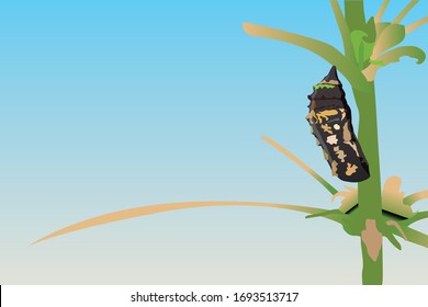 Illustration of a cocoon vector design