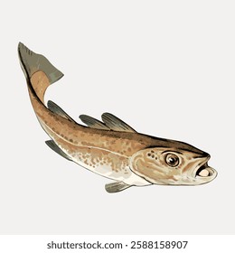 Illustration of a cod fish with detailed scales and fins, showcasing its natural colors and textures. The cod fish is depicted in a realistic style. Vintage marine life vector.