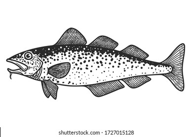 Illustration of cod  fish in engraving style. Design element for logo, label, sign, poster, t shirt. Vector illustration