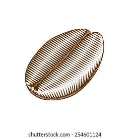 Illustration Of Coffee Bean In Woodcut Style 