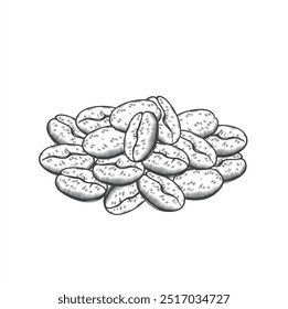 illustration of coffee beans, vector art.