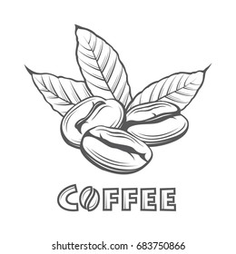 illustration of coffee branch and beans