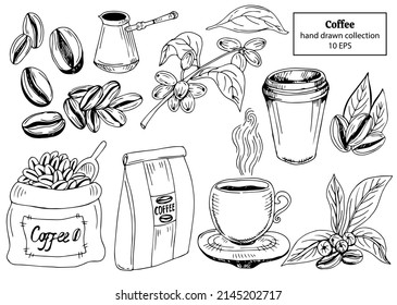 Illustration of coffee cups, beans and coffee tree. Vintage design for coffee. Engraved mathematical illustration.