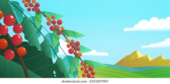 Illustration of coffee plantation natural landscape background. Beautiful coffee plants with mountains and cloudy blue sky landscape in the back.