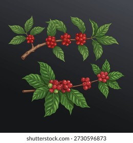 illustration of coffee tree branches and coffee beans