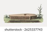 Illustration of a coffin with a star, resting on grass. The coffin is wooden, with handles. A plant grows nearby. The coffin and star are central elements. Vintage art illustration vector.