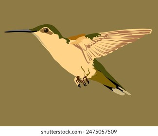 ilustración de un pájaro colibri en vuelo