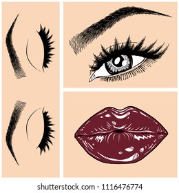 Illustration with collage of woman's eye, eyebrows, eyelashes, sexy lips and luxury lipstick . Makeup Look. Tattoo design. Logo for brow bar, lash or beauty salon.