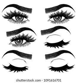 Illustration with collage of woman's eye wink, eyebrows and eyelashes. Makeup Look. Tattoo design. Logo for brow bar or lash salon.