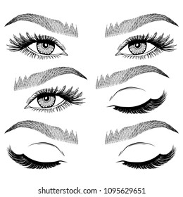 Illustration with collage of woman's eye wink, eyebrows and eyelashes. Makeup Look. Tattoo design. Logo for brow bar or lash salon.