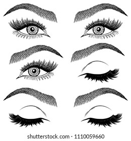 Illustration With Collage Of Woman's Eye Wink, Eyebrows And Eyelashes. Makeup Look. Tattoo Design. Logo For Brow Bar Or Lash Salon.