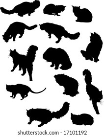illustration with  collection