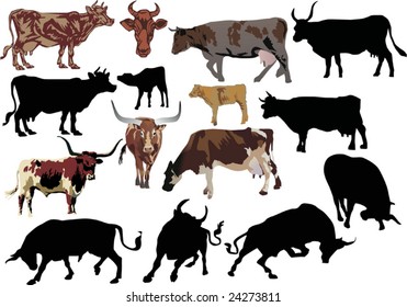 illustration with  collection