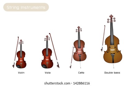 An Illustration Collection of Beautiful Musical Instrument String, Violin, Viola, Cello and Double Bass with Bows Isolated on White Background 