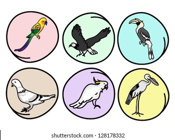 An Illustration Collection of Beautiful Wild Birds, Great Horn bill, Eagle, Pigeons, Parrot, Macaw and Egret on Round Background