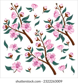 Illustration of a collection of cherry blossoms.