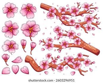Illustration a collection of cherry blossoms from branches with delicate pink blossoms and petals, various of cherry blossoms, including fully bloomed blossoms, buds and single petals.