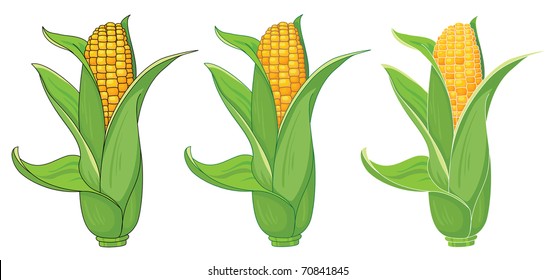 24,098 Ears of corn Stock Vectors, Images & Vector Art | Shutterstock