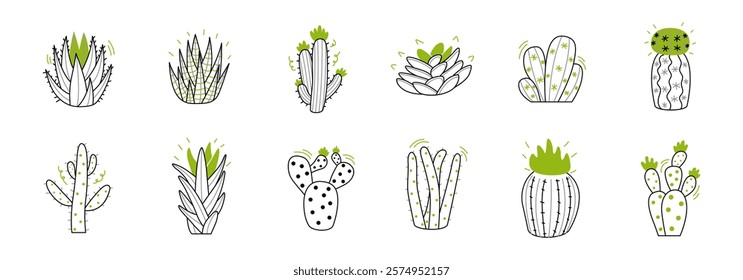 illustration of collection different cactus and succulent plant species.