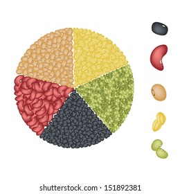 Illustration Collection of Different Dried Beans, Mung, Kidney, Black Eye, Soy Bean and Yellow Split Peas Forming A Pie Chart