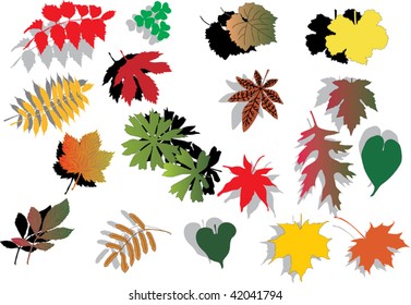 illustration with collection of different foliage