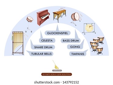 Illustration Collection of Different Sections of Percussion Instrument for Philharmonia Symphony Orchestra Seating Plans 