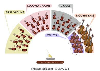 Illustration Collection of Different Sections of String Instrument for Symphony Orchestra Layout Diagram, Violin, Viola, Cello and Double Bass 