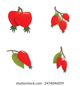 Colección de ilustración con diferentes estilos de rosa mosqueta roja madura
