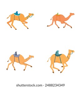 Illustration collection featuring four camels with saddles, depicted in different standing and walking positions
