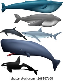 Illustration of collection of fish
