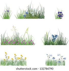 illustration with collection of flowers in grass isolated on white background