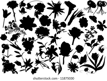 illustration with collection of flowers silhouettes isolated on white background