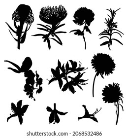 Illustration with collection of flowers silhouettes isolated on white background.