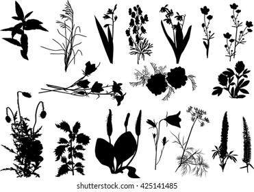 illustration with collection of flowers silhouettes isolated on white background