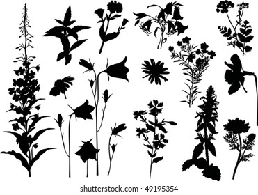 illustration with collection of flowers silhouettes isolated on white background