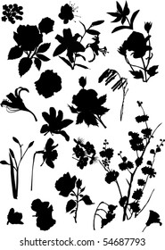 illustration with collection of flowers silhouettes isolated on white background