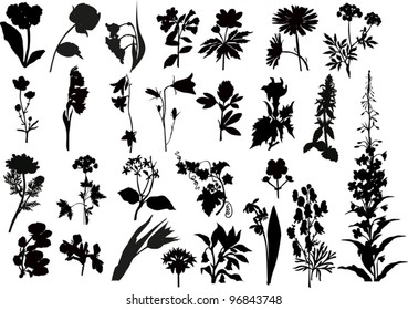 illustration with collection of flowers silhouettes isolated on white background