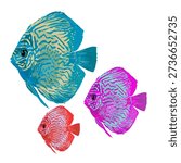 illustration of a collection of a group of Discus fish (genus Symphysodon)